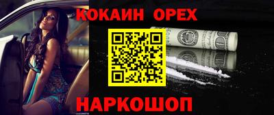индика Кингисепп