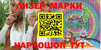индика Кингисепп