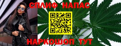 индика Кингисепп