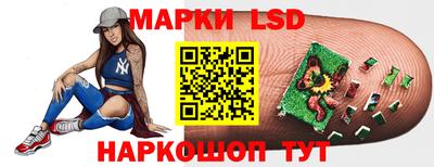 индика Кингисепп