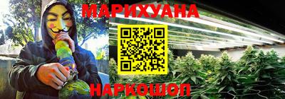 индика Кингисепп