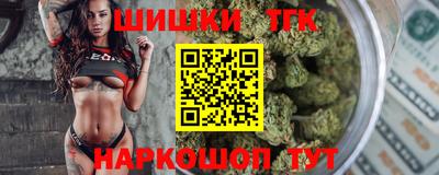 индика Кингисепп