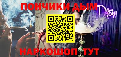 индика Кингисепп