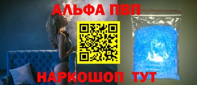 индика Кингисепп
