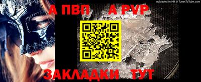 индика Кингисепп