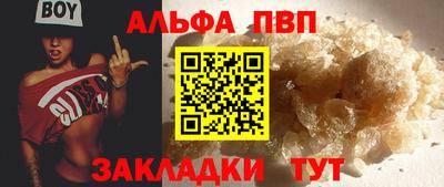 индика Кингисепп