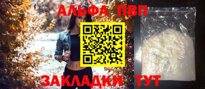 индика Кингисепп
