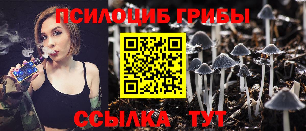 Галлюциногенные грибы мицелий  Вход с VPN  Кингисепп 